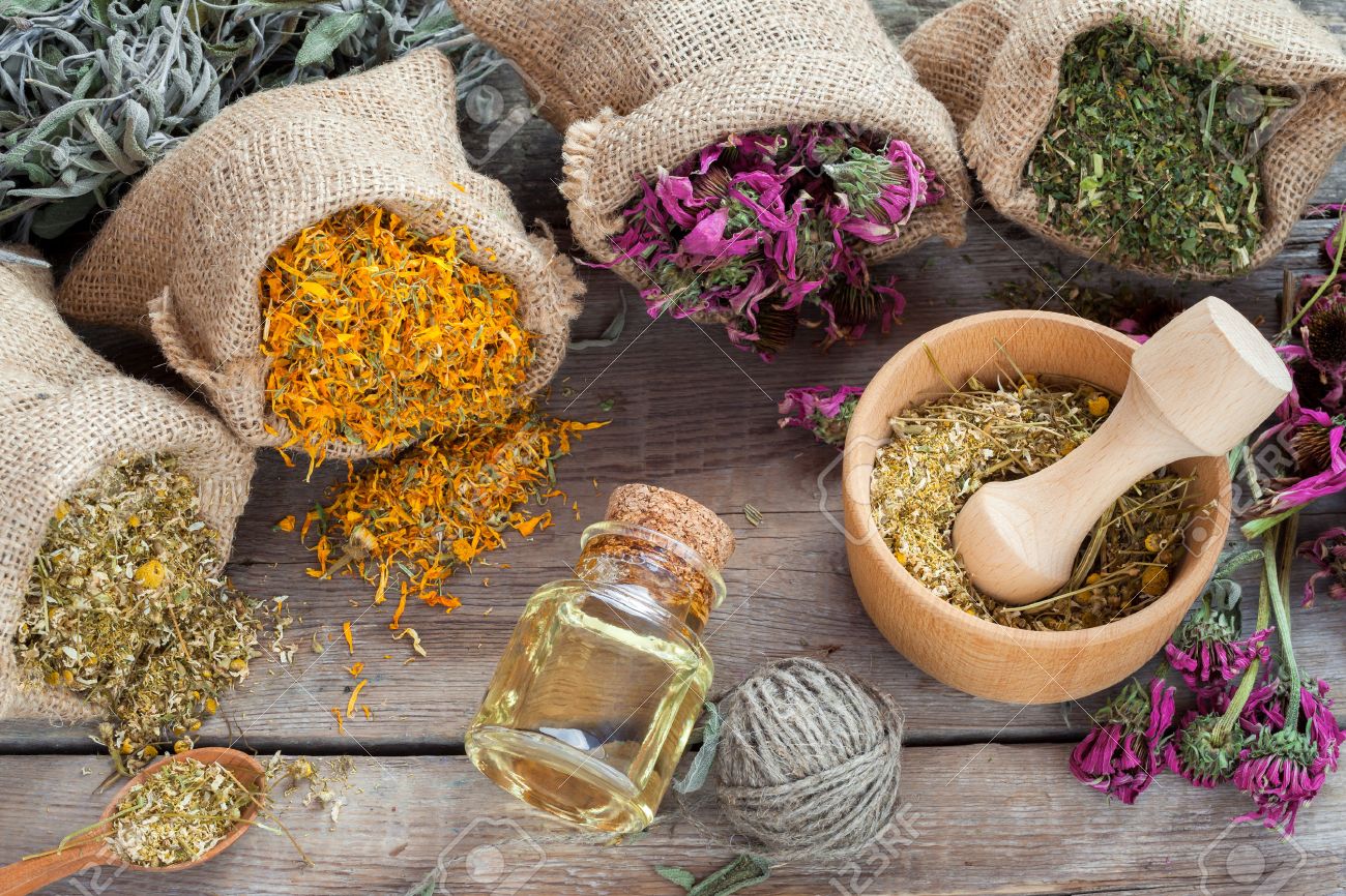 Screw Pharma: 10 Herbs To Keep in Your Holistic Medicine Cabinet