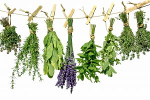 Screw Pharma: 10 Herbs To Keep in Your Holistic Medicine Cabinet