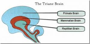 Electricity Produced By Human Body: Are We in The Matrix?