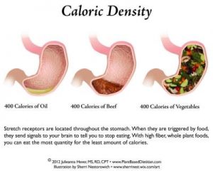 You are what You Eat: This is what Happens to Our Stomach Receptors when We Eat Junk Food