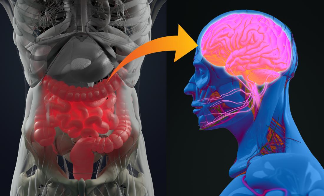 You are what You Eat: This is what Happens to Our Stomach Receptors when We Eat Junk Food
