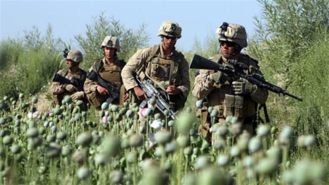 We Should all be Taking a Knee for this: Tax Dollars Spent in Afghanistan Have Boosted Opium Production