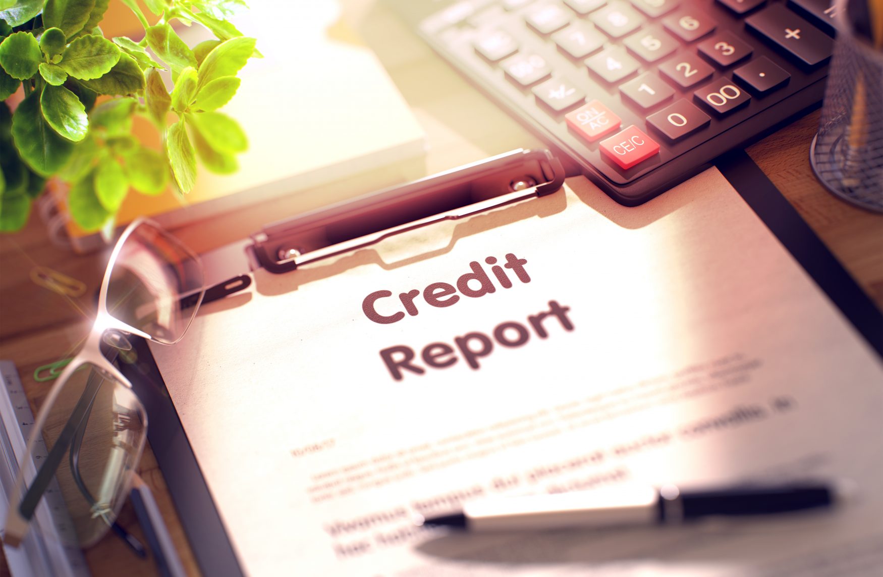 Accurate Credit Reporting Problems