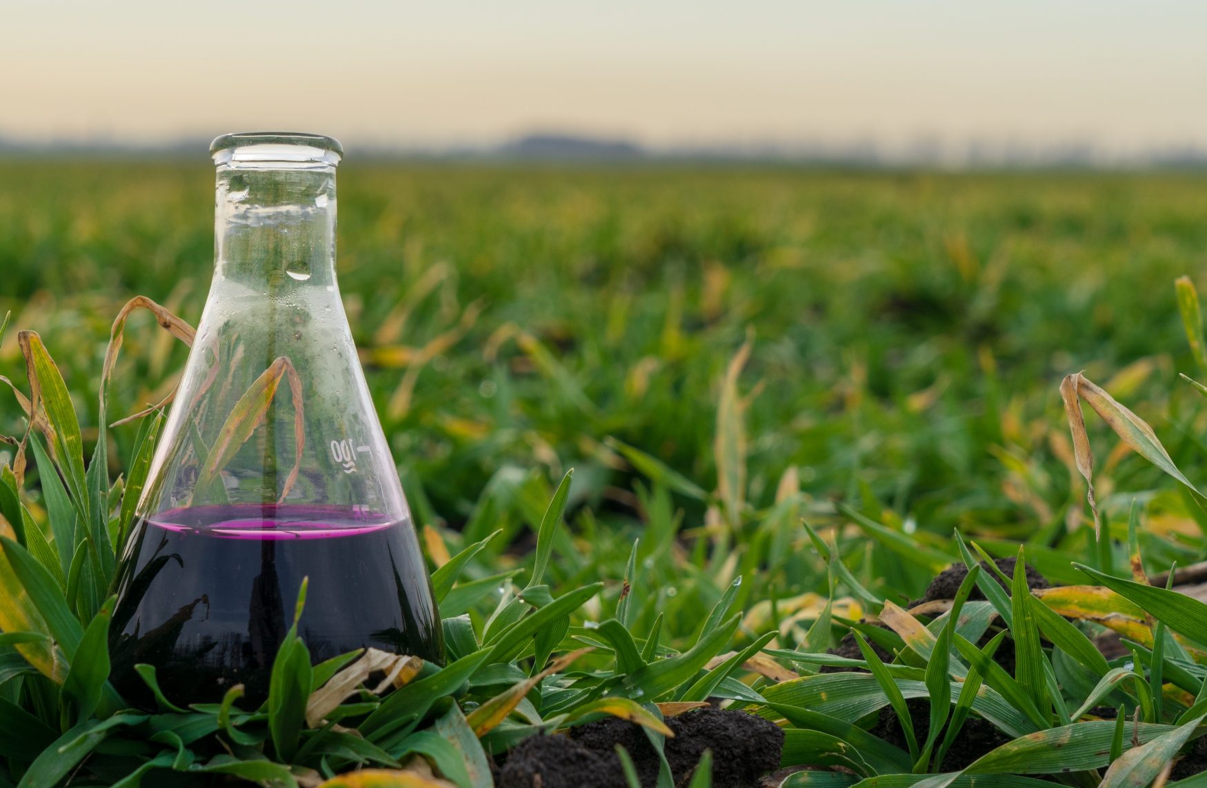 Agricultural Chemicals Deadly?